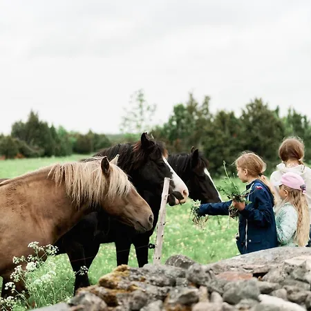 Hébergement de vacances Matsi