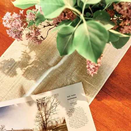 Hébergement de vacances Matsi