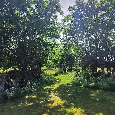 Matsi Tatil Evi
