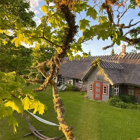 Tatil Evi Matsi