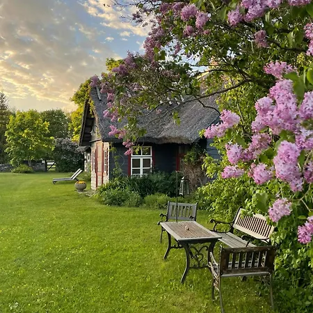 Tatil Evi Matsi *