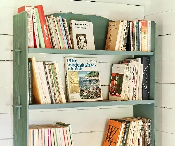 Matsi Holiday home Igakula